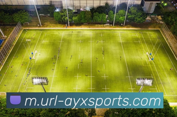 爱游戏品牌故事